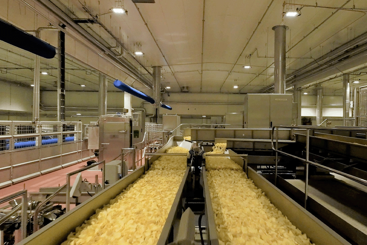 Conveyor belts filled with chips